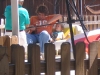 IMG_0555 (Small)